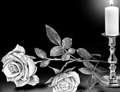 Полезная информация