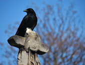 Полезная информация