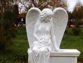 Полезная информация