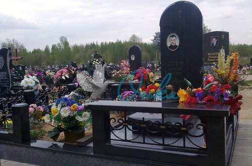 Наши ограды