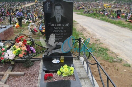 Наши металлические ограды